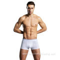 Basic colourful cotton men's boxers briefs shorts underwear